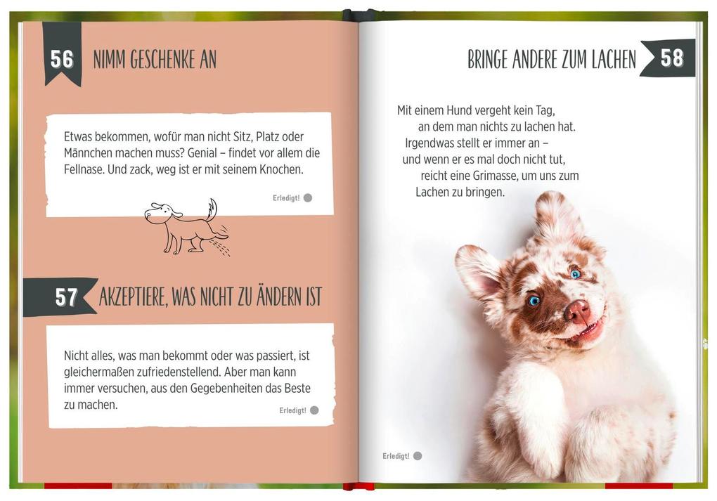 Weitere Ansicht: 100 Dinge, die man von einem Hund lernen kann