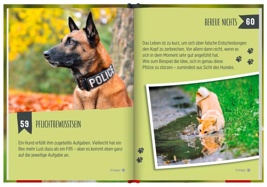 Weitere Ansicht: 100 Dinge, die man von einem Hund lernen kann