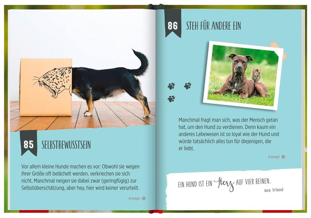 Weitere Ansicht: 100 Dinge, die man von einem Hund lernen kann