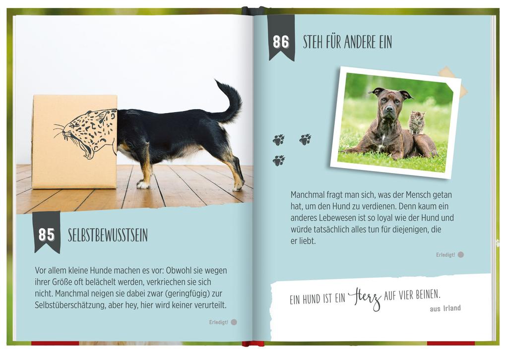 Weitere Ansicht: 100 Dinge, die man von einem Hund lernen kann