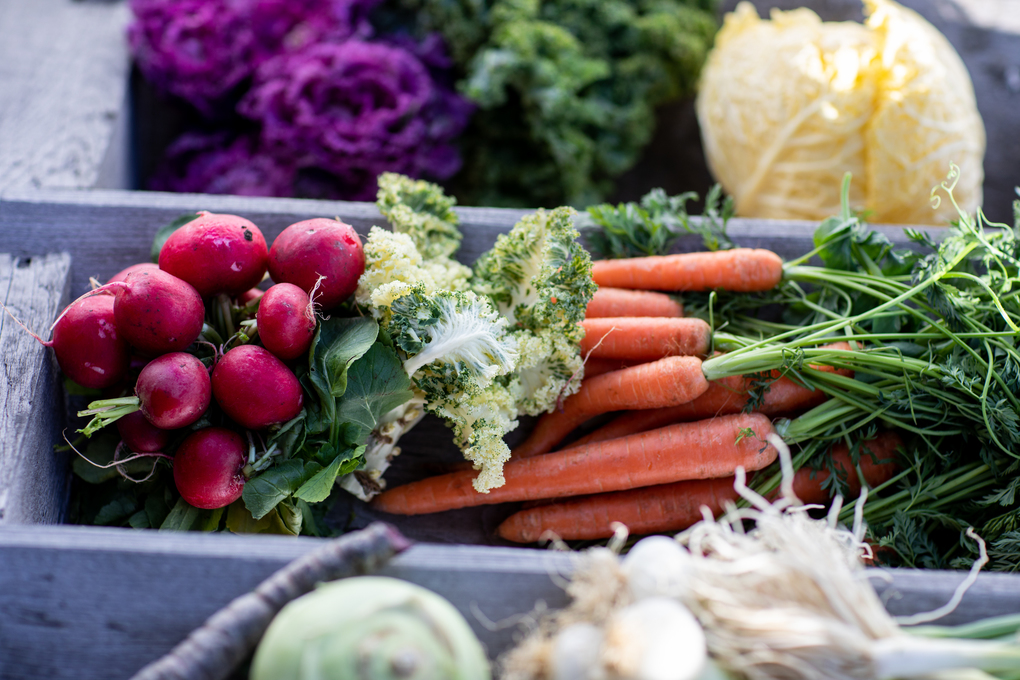 Weitere Ansicht: Ernte mich im Winter | Wolfgang Palme