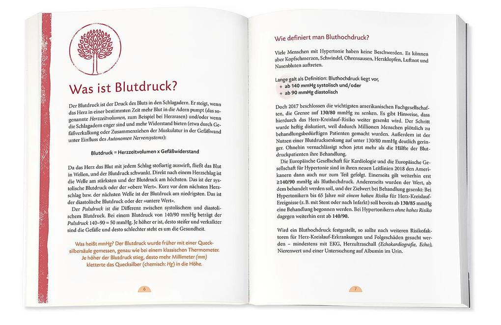 Weitere Ansicht: Hilfe bei Bluthochdruck | Markus Zillgens, Sabine Pork