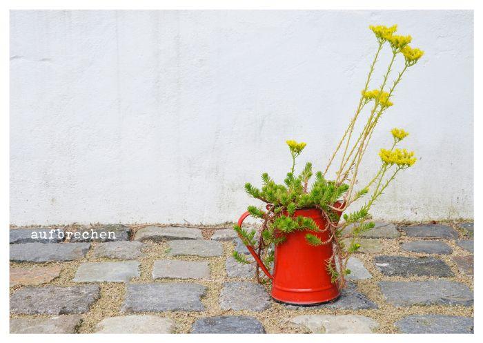 Weitere Ansicht: von Herzen - Postkartenbuch | Stephanie Brall
