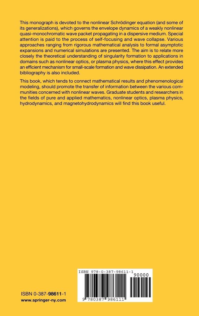 Weitere Ansicht: The Nonlinear Schrödinger Equation | Catherine Sulem, Pierre-Louis Sulem