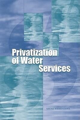 Privatization of Water Services in the United States: An Assessment of Issues and Experience als Buch (gebunden)