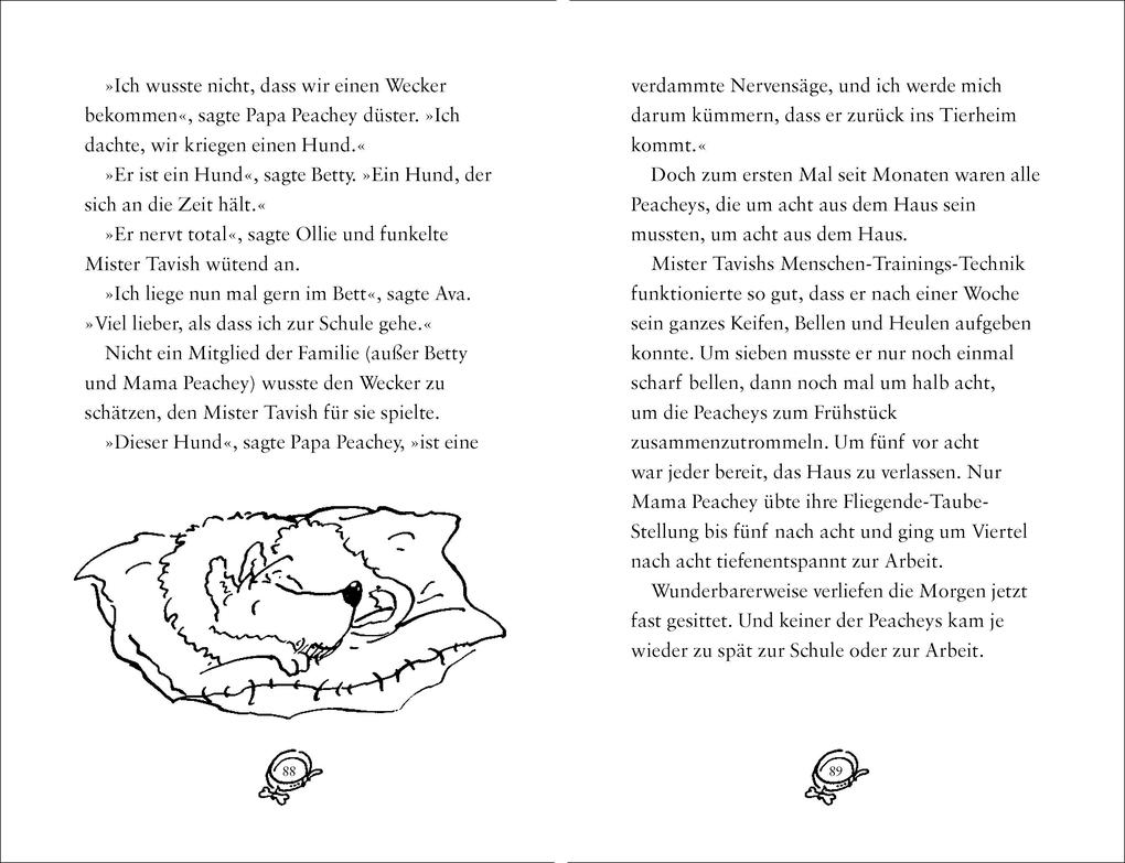 Weitere Ansicht: Glück für alle Felle | Meg Rosoff