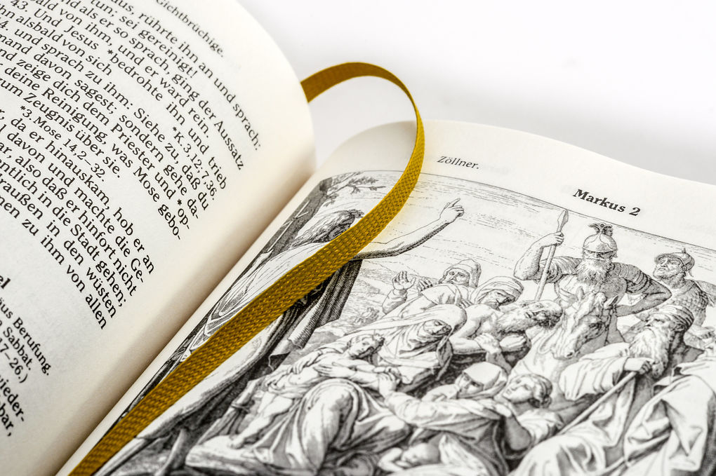 Weitere Ansicht: Die Bibel (Geschenkausgabe, Cabra-Leder) | Martin Luther