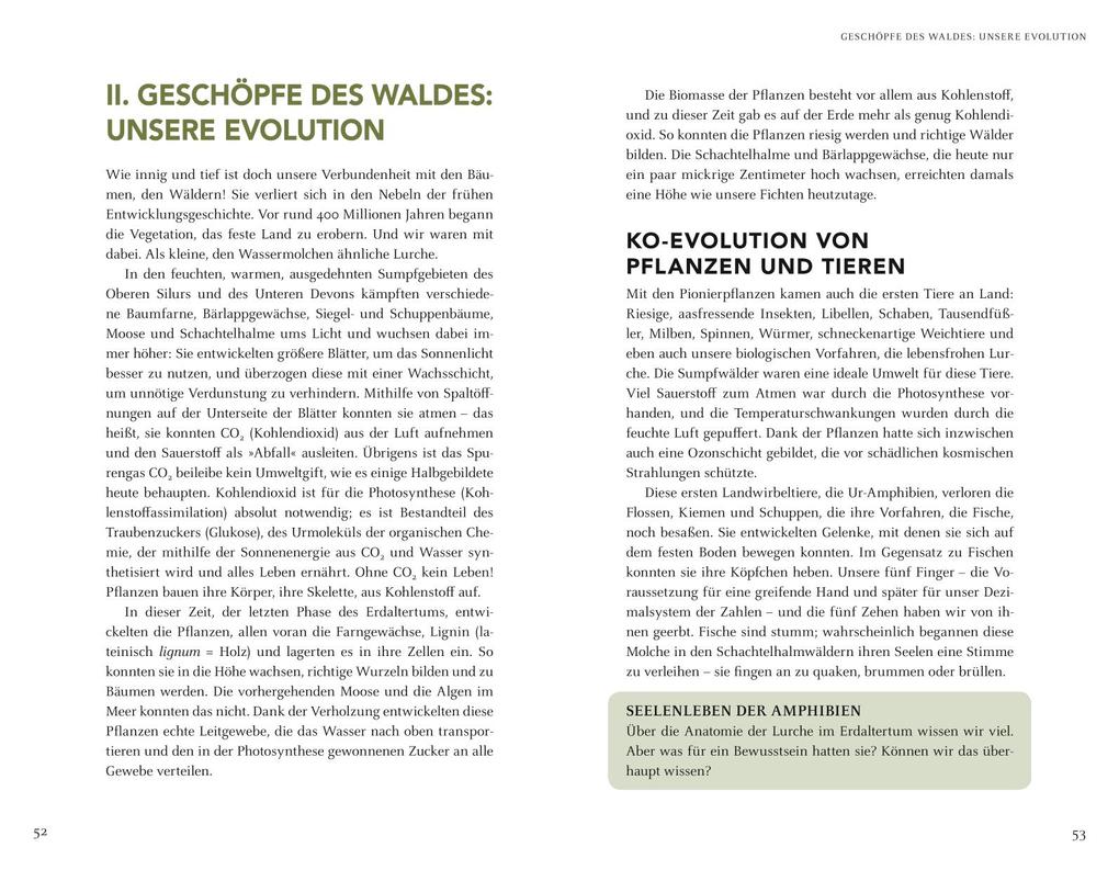 Weitere Ansicht: Wir sind Geschöpfe des Waldes | Wolf-Dieter Storl