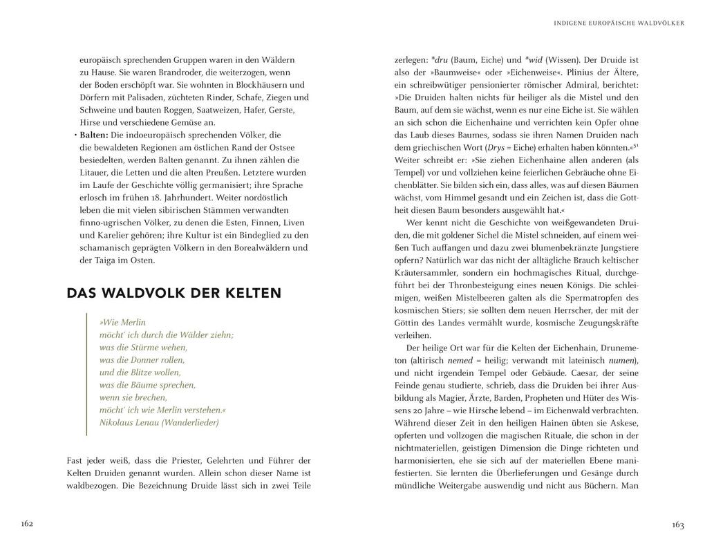 Weitere Ansicht: Wir sind Geschöpfe des Waldes | Wolf-Dieter Storl