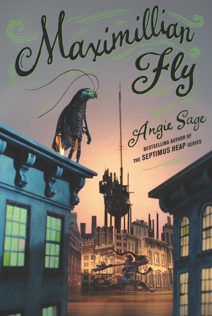 Produktbild: Maximillian Fly | Angie Sage