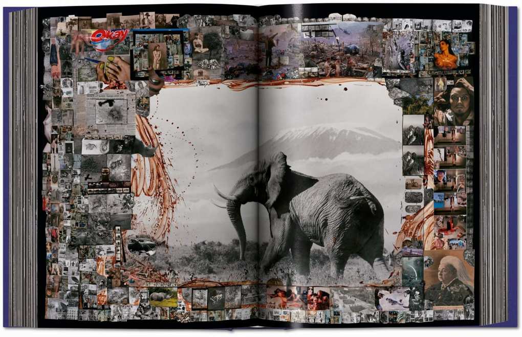 Weitere Ansicht: Peter Beard | Owen Edwards, Steven M. L. Aronson