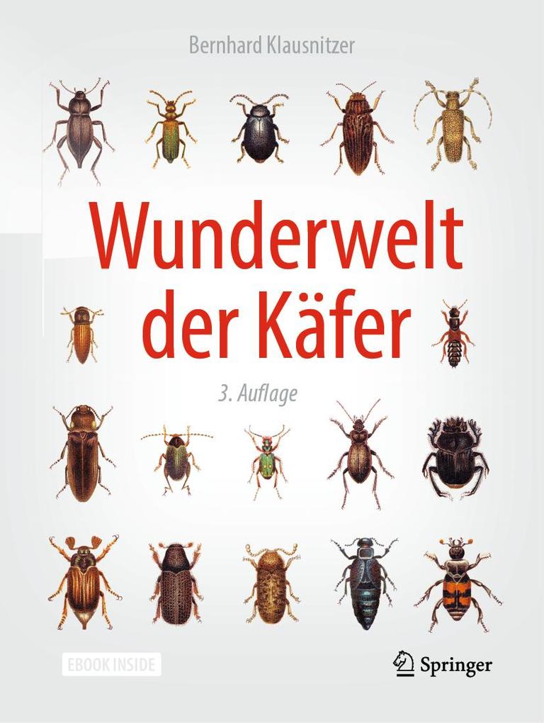 Produktbild: Wunderwelt der Käfer | Bernhard Klausnitzer