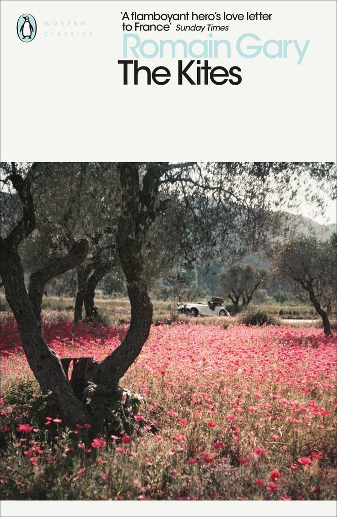 Produktbild: The Kites | Romain Gary