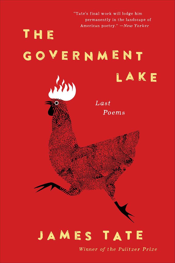 Produktbild: The Government Lake | James Tate
