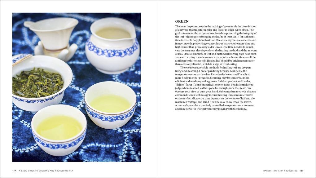 Weitere Ansicht: Grow Your Own Tea | Christine Parks, Susan M Walcott