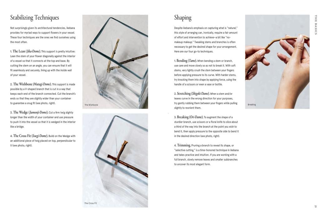 Weitere Ansicht: Ikebana Unbound | Amanda Luu, Ivanka Matsuba