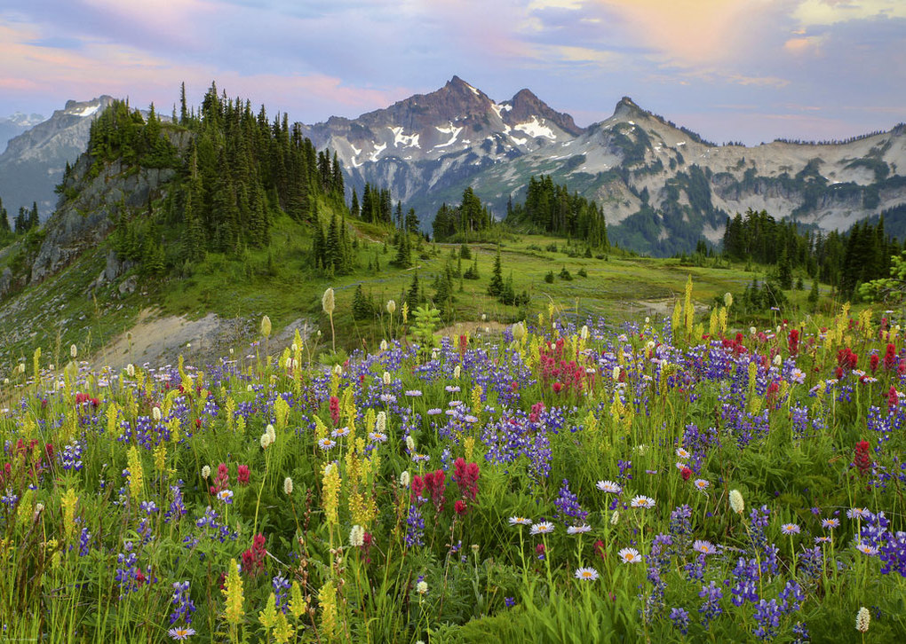Weitere Ansicht: Tatoosh Mountains