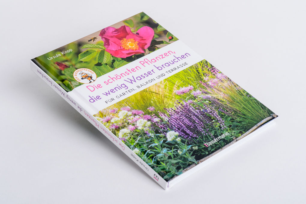 Weitere Ansicht: Die schönsten Pflanzen, die wenig Wasser brauchen für Garten, Balkon und Terrasse - 66 trockenheitsverträgliche Stauden, Sträucher, Gräser und Blumen, die heiße Sommer garantiert überleben | Ursula Kopp
