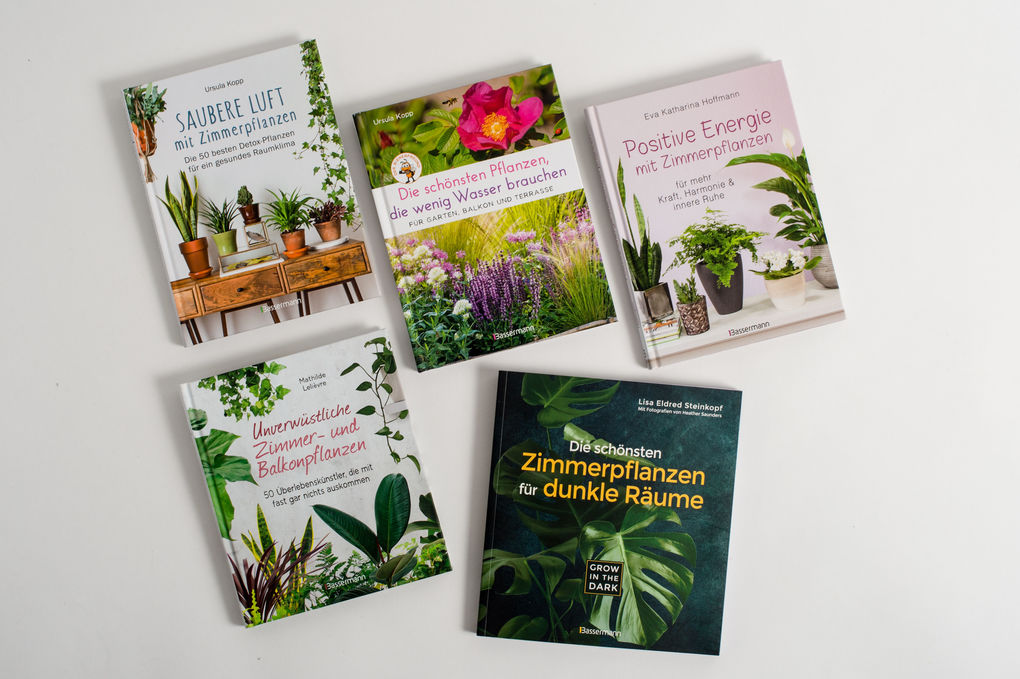 Weitere Ansicht: Die schönsten Pflanzen, die wenig Wasser brauchen für Garten, Balkon und Terrasse - 66 trockenheitsverträgliche Stauden, Sträucher, Gräser und Blumen, die heiße Sommer garantiert überleben | Ursula Kopp