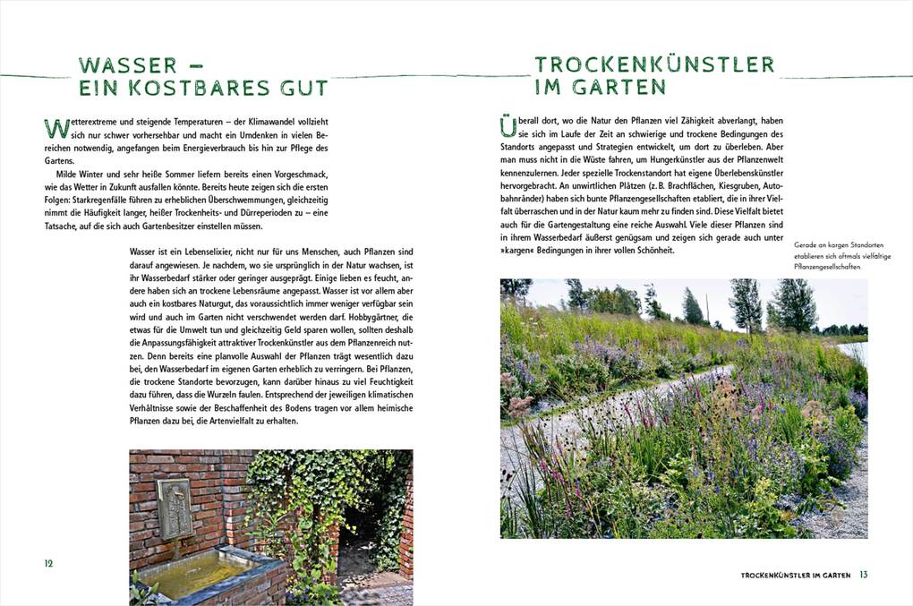 Weitere Ansicht: Die schönsten Pflanzen, die wenig Wasser brauchen für Garten, Balkon und Terrasse - 66 trockenheitsverträgliche Stauden, Sträucher, Gräser und Blumen, die heiße Sommer garantiert überleben | Ursula Kopp