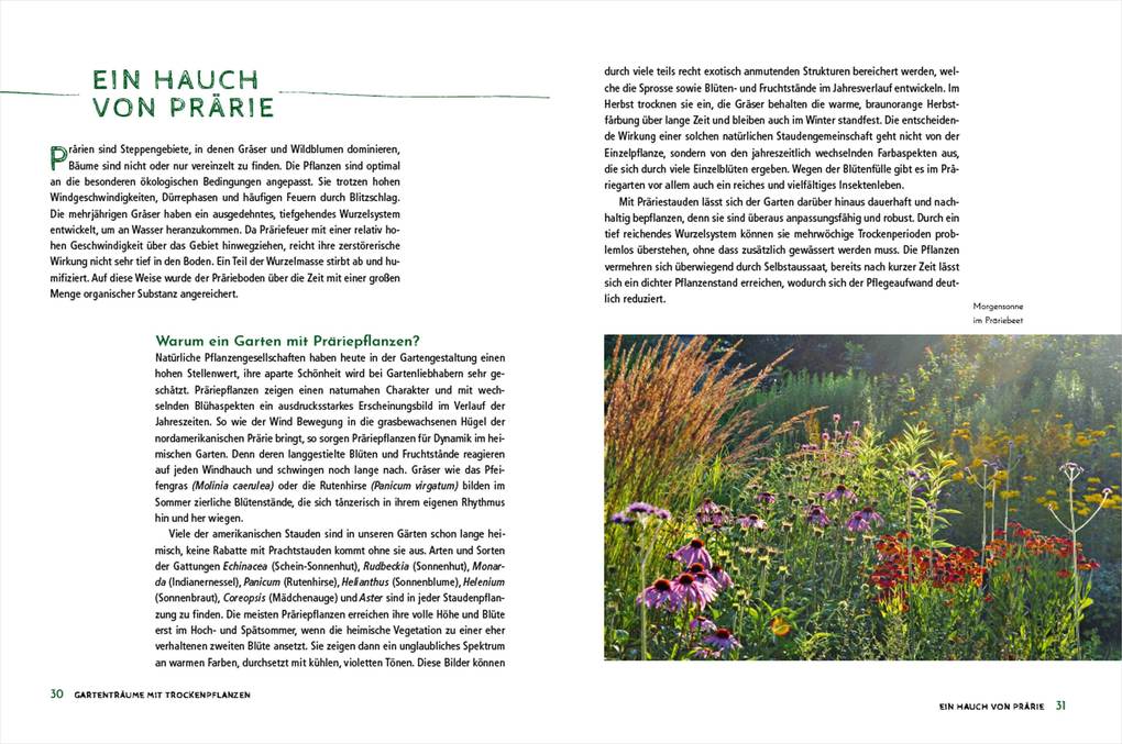 Weitere Ansicht: Die schönsten Pflanzen, die wenig Wasser brauchen für Garten, Balkon und Terrasse - 66 trockenheitsverträgliche Stauden, Sträucher, Gräser und Blumen, die heiße Sommer garantiert überleben | Ursula Kopp