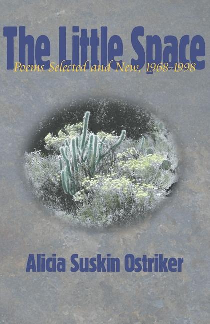 Produktbild: The Little Space | Alicia Suskin Ostriker