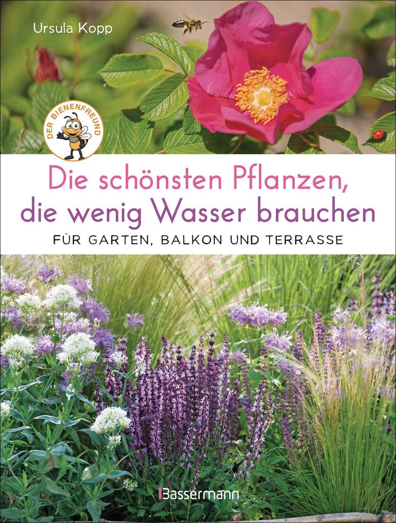 Produktbild: Die schönsten Pflanzen, die wenig Wasser brauchen für Garten, Balkon und Terrasse - 66 trockenheitsverträgliche Stauden, Sträucher, Gräser und Blumen, die heiße Sommer garantiert überleben | Ursula Kopp