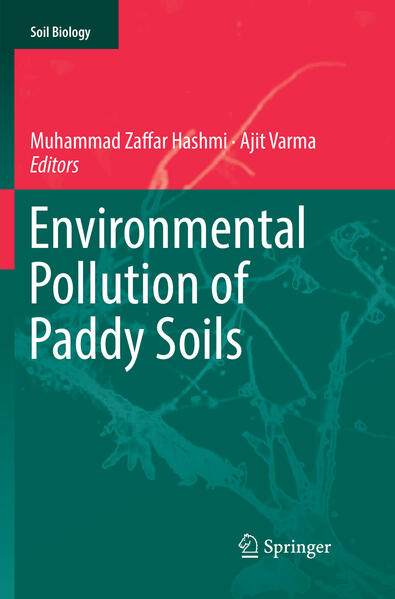 Produktbild: Environmental Pollution of Paddy Soils