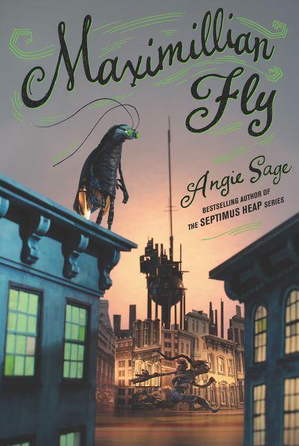 Produktbild: Maximillian Fly | Angie Sage