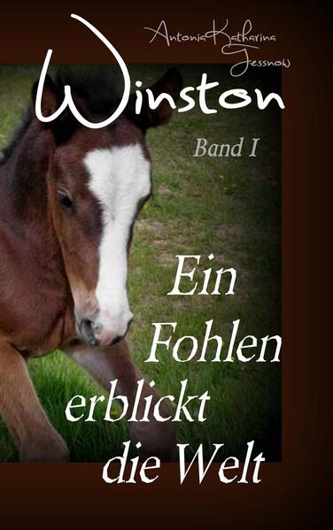 Produktbild: Winston - Ein Fohlen erblickt die Welt | Antonia Katharina Tessnow