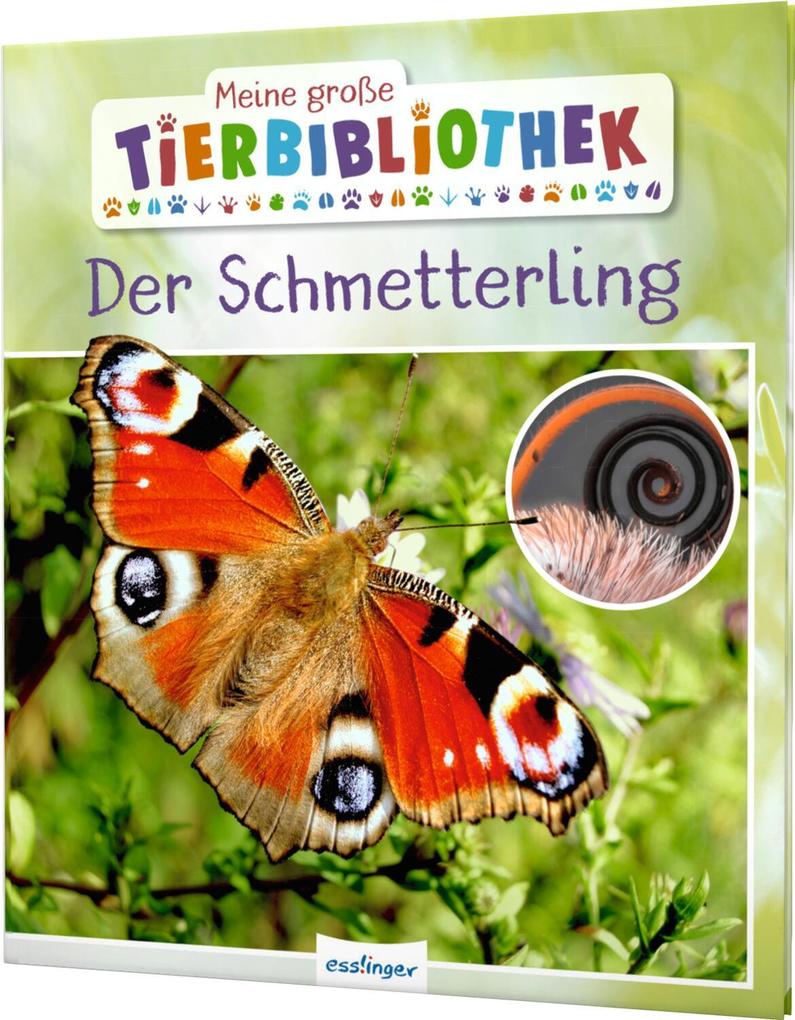 Produktbild: Meine große Tierbibliothek: Der Schmetterling | Valérie Tracqui