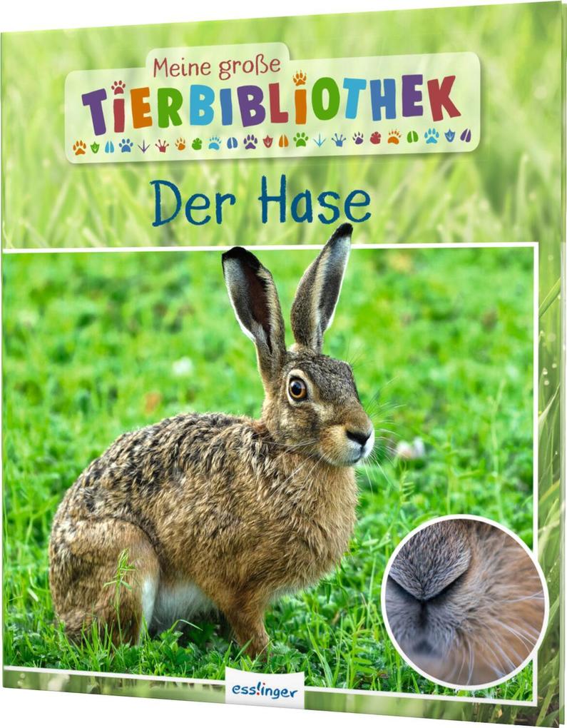 Produktbild: Meine große Tierbibliothek: Der Hase | Jens Poschadel