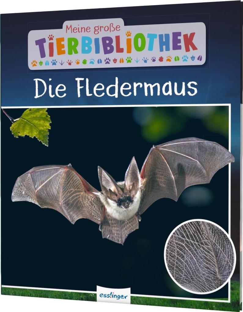 Produktbild: Meine große Tierbibliothek: Die Fledermaus | Jens Poschadel, Antje Möller