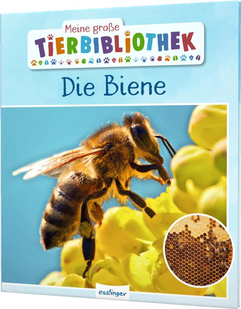 Produktbild: Meine große Tierbibliothek: Die Biene | Paul Starosta