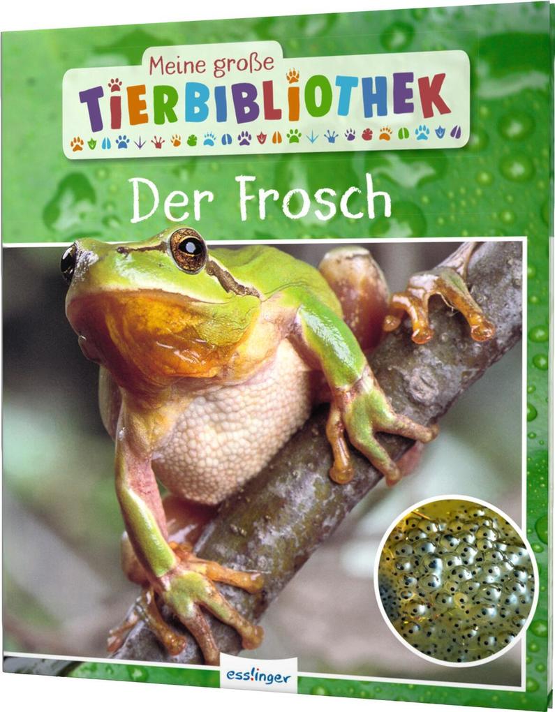 Produktbild: Meine große Tierbibliothek: Der Frosch | Paul Starosta