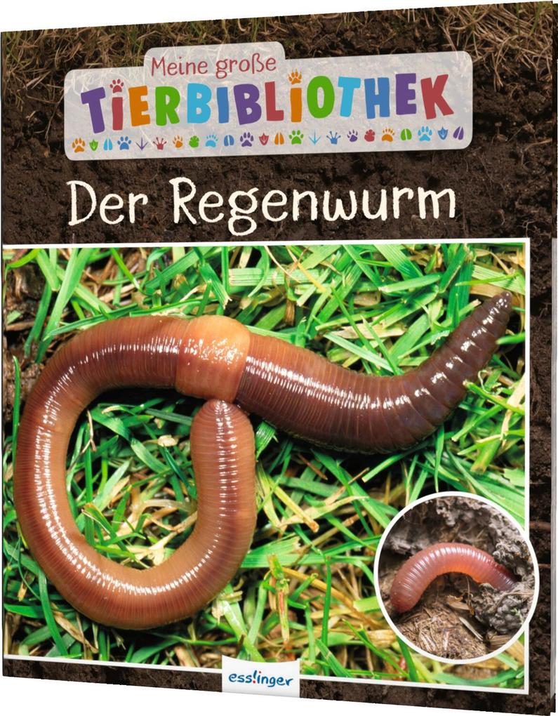 Produktbild: Meine große Tierbibliothek: Der Regenwurm | Valérie Tracqui