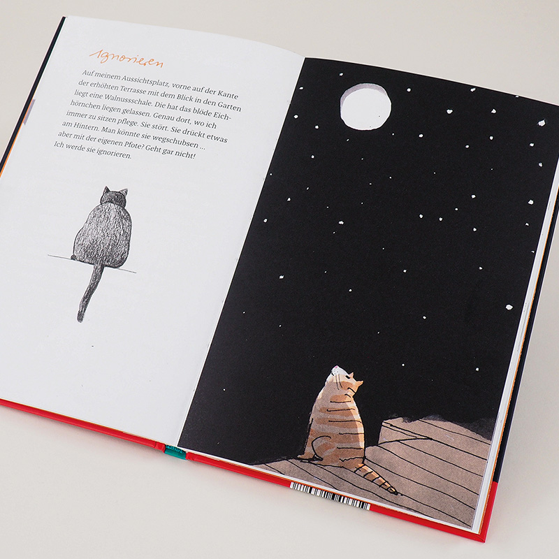 Weitere Ansicht: Kater Liam | Jutta Bauer