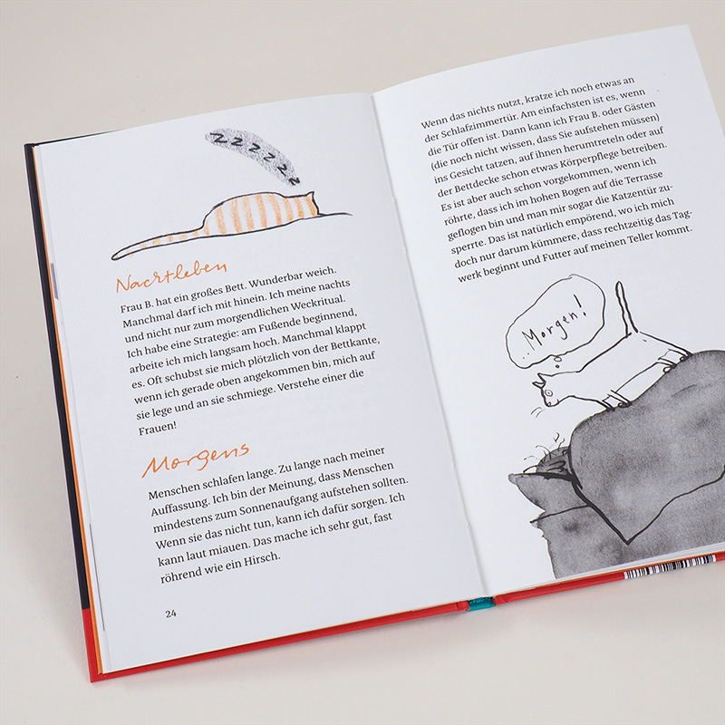 Weitere Ansicht: Kater Liam | Jutta Bauer