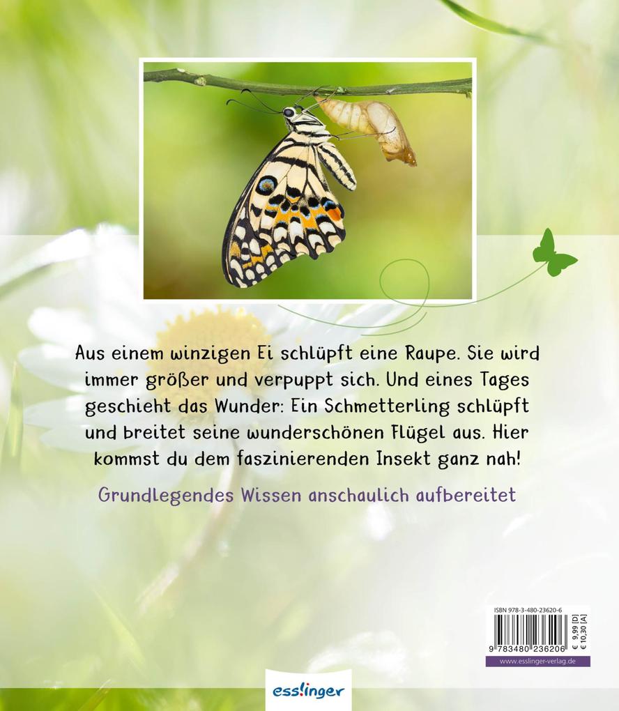 Weitere Ansicht: Meine große Tierbibliothek: Der Schmetterling | Valérie Tracqui