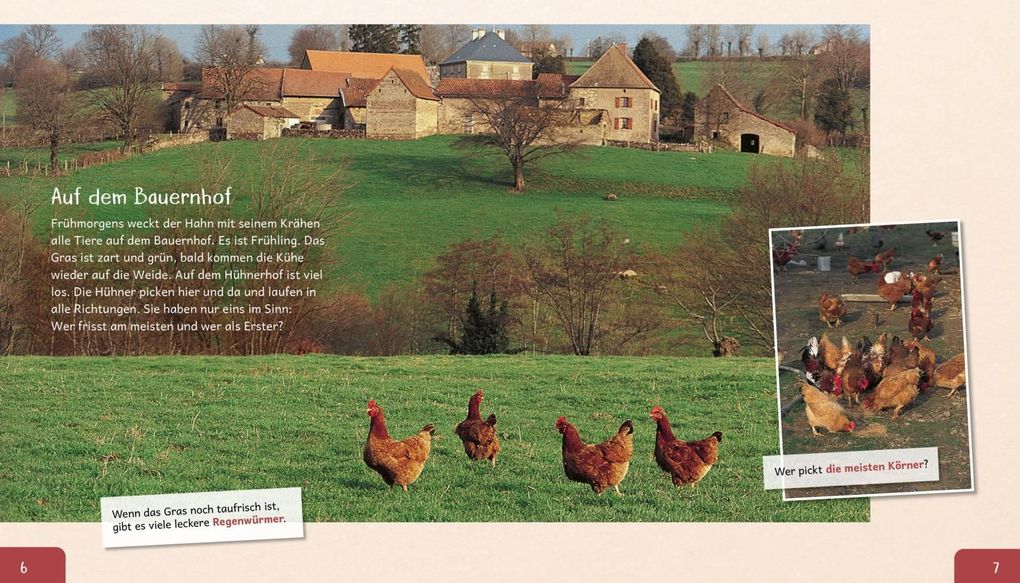 Weitere Ansicht: Meine große Tierbibliothek: Das Huhn | Christian Havard, Valérie Tracqui