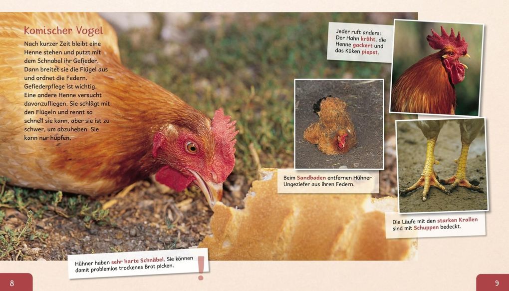 Weitere Ansicht: Meine große Tierbibliothek: Das Huhn | Christian Havard, Valérie Tracqui