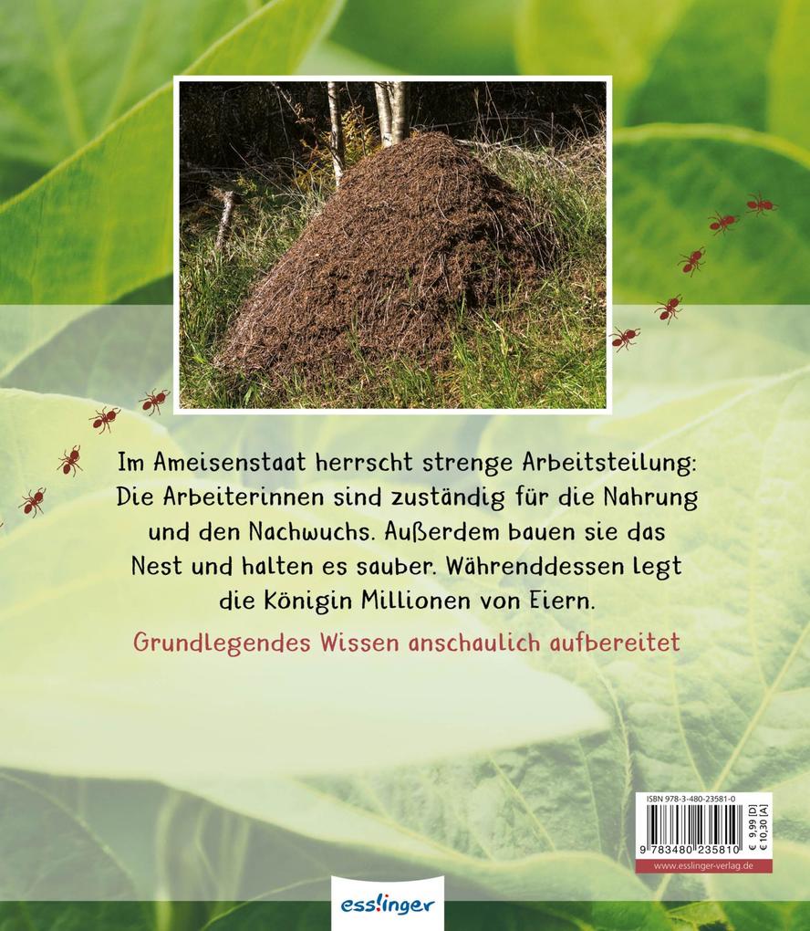 Weitere Ansicht: Meine große Tierbibliothek: Die Ameise | Axel Gutjahr
