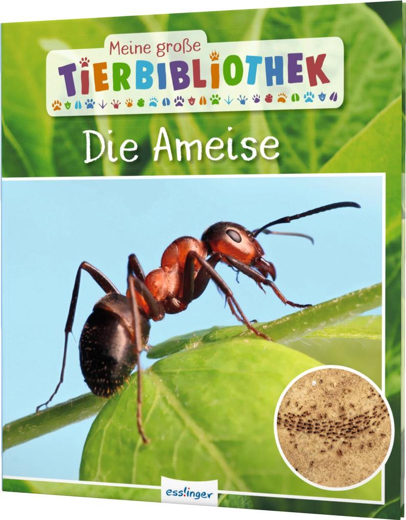 Weitere Ansicht: Meine große Tierbibliothek: Die Ameise | Axel Gutjahr