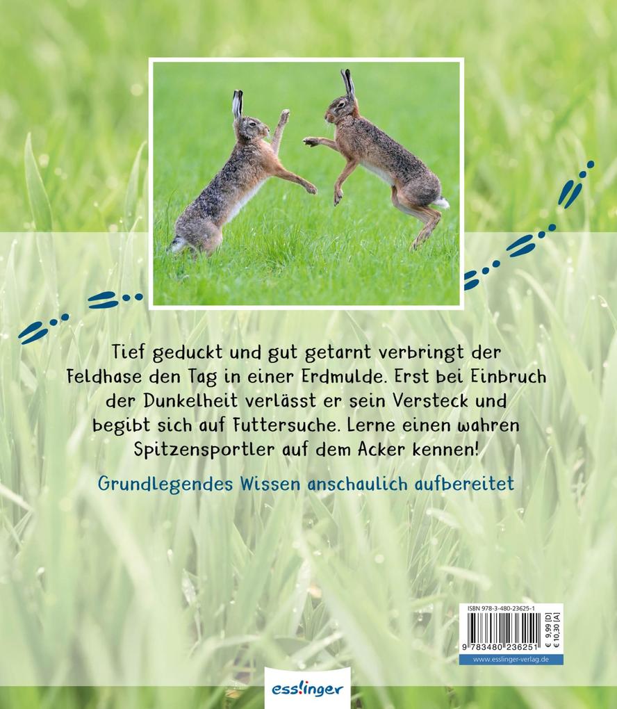 Weitere Ansicht: Meine große Tierbibliothek: Der Hase | Jens Poschadel