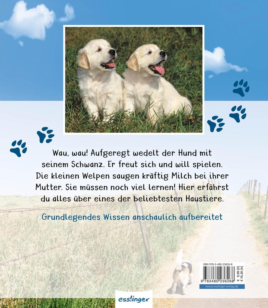 Weitere Ansicht: Meine große Tierbibliothek: Der Hund | Valérie Tracqui