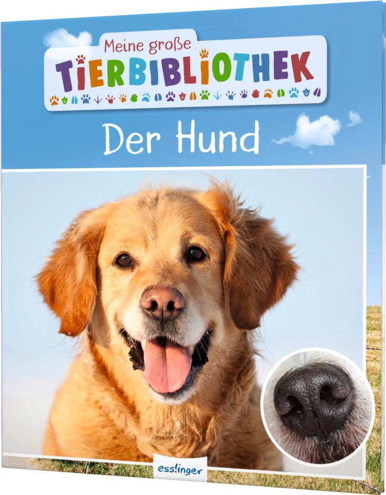 Weitere Ansicht: Meine große Tierbibliothek: Der Hund | Valérie Tracqui