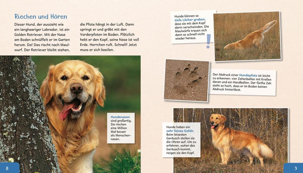 Weitere Ansicht: Meine große Tierbibliothek: Der Hund | Valérie Tracqui