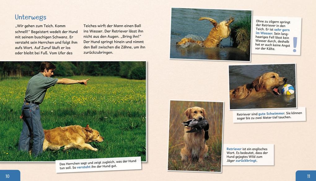 Weitere Ansicht: Meine große Tierbibliothek: Der Hund | Valérie Tracqui
