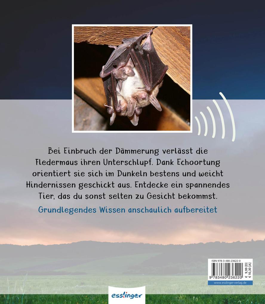 Weitere Ansicht: Meine große Tierbibliothek: Die Fledermaus | Jens Poschadel, Antje Möller