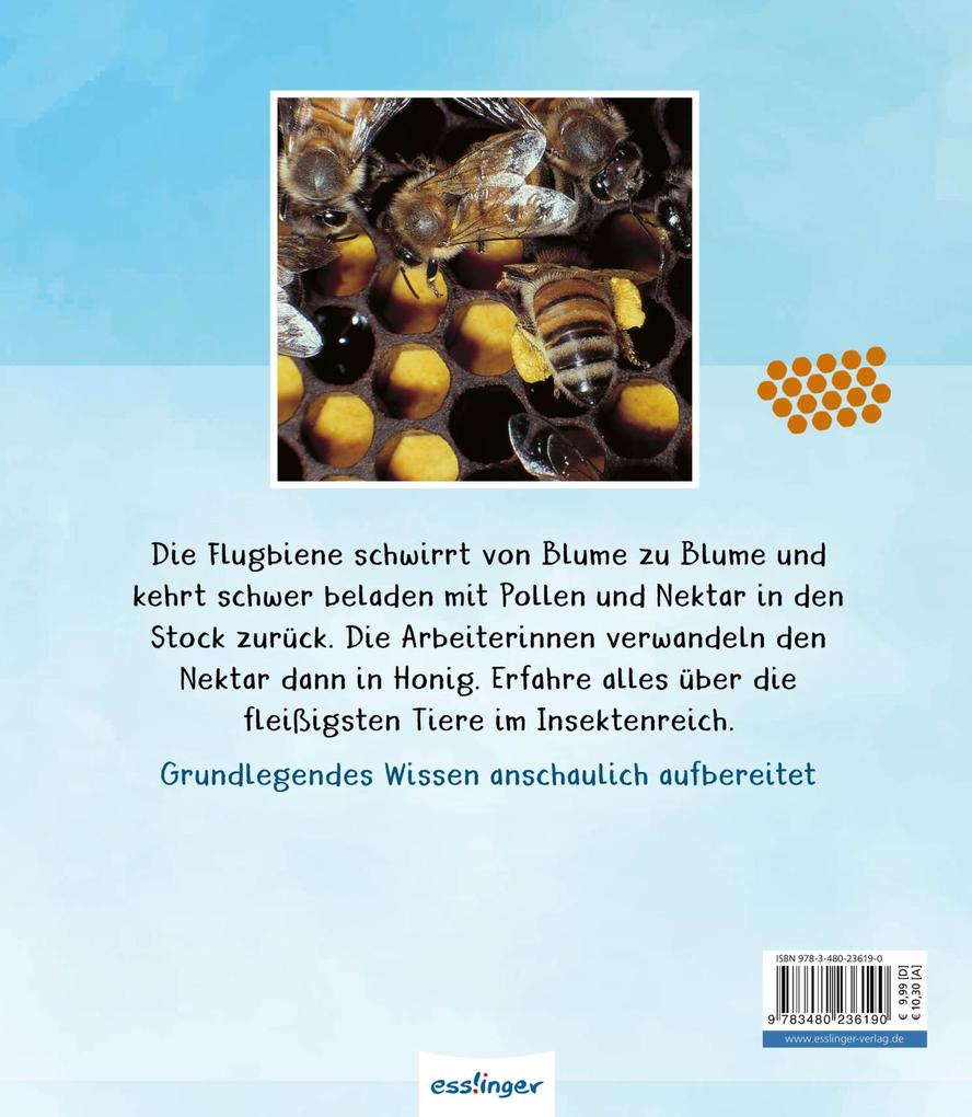 Weitere Ansicht: Meine große Tierbibliothek: Die Biene | Paul Starosta